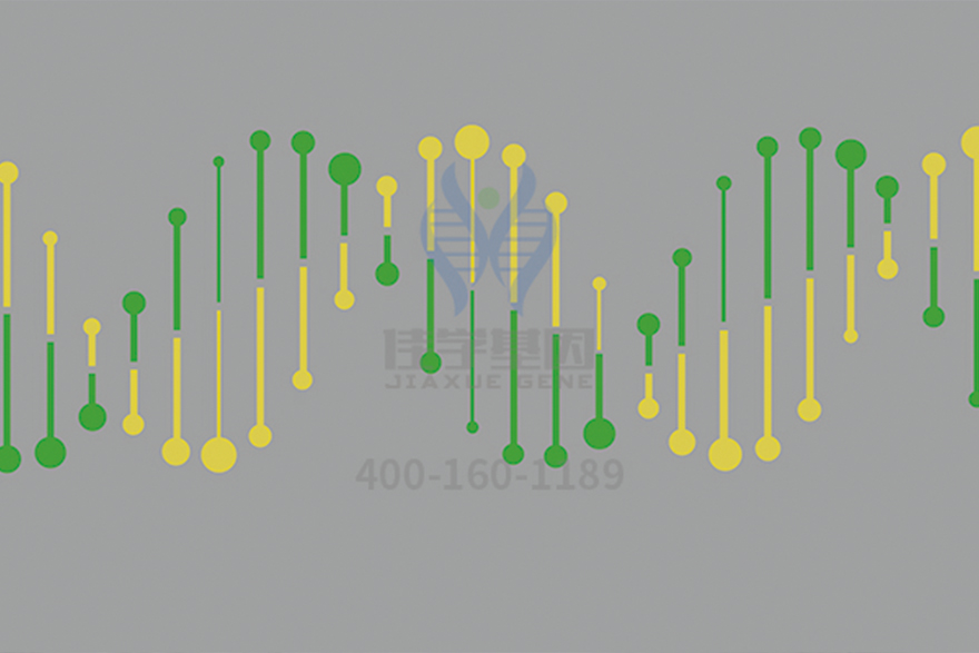 【佳学基因检测】宁夏回族自治区吴忠市基因筛查中心